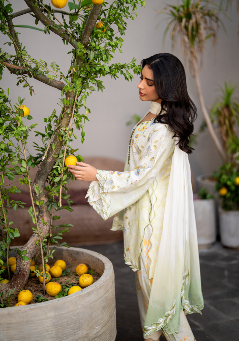 ZEST DUPATTA